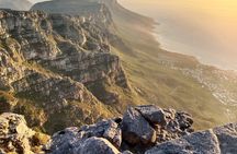 Full Day Table Mountain Cableway Ride and Constantia Wine Tasting