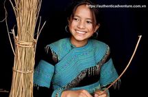 15-Day Vietnam Itinerary All in One | Travel Package 2025-2026