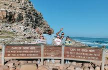  Penguins Boulders Beach and Cape Point Small Group Day Tour