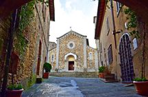Chianti and Castles Tour from San Gimignano Small Group