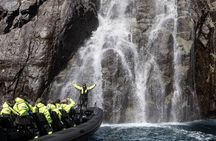Lysefjord RIB Safari from Stavanger