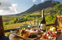 Giraffe Encounter and Cheetah Outreach with Wine Tasting