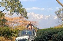 Jeep Safari and Picnic Tour