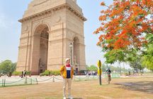 Full Day Old and New Delhi City Tour by Priavte Car