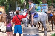 Dunns River Falls and Blue Hole Tour