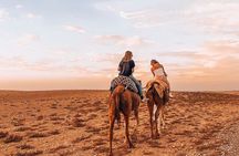Sunset camel ride and dinner in Agafay desert. 