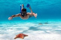 Speed Boat with Snorkeling Adventure of Cancun