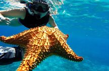 Speed Boat with Snorkeling Adventure of Cancun