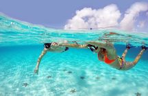 Speed Boat with Snorkeling Adventure of Cancun