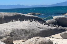 Full-Day Cape of Good Hope and Table Mountain with Penguins Tour