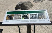 Full-Day Cape of Good Hope and Table Mountain with Penguins Tour