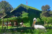 Karavasta Lagoon Adventure: Boat & Wildlife Tour from Durrës