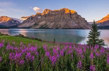 Moraine Lake Louise and Icefields Parkway Private Luxury Day Tour