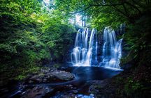 Private Tour - Irish Walled Garden, Nature & Giants Causeway