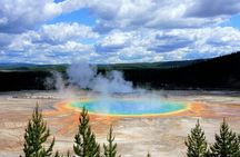 San Francisco to Yellowstone and Las Vegas 7-Day Tour