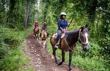 Half-day Horseback Riding through the Mountains Punta Cana 