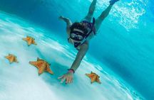 Cozumel by transparent boat and snorkeling in the sky with lunch.