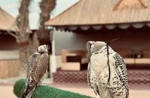 Abu Dhabi: 7-Hours Desert Safari with BBQ, Camel Ride & Sandboarding