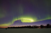 Rovaniemi Aurora Hunting Tour