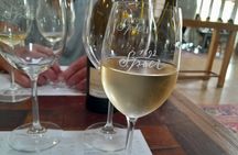 Stellenbosch, Franschhoek & Paarl 5 Wine Tasting Tour small group