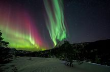 Northern Lights Tours Bodo Norway