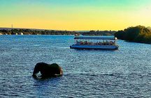 Luxury Sunset Boat Safari above the Victoria Falls