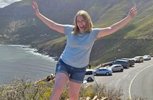 Half Day Penguins Boulders Beach and Cape Point Small Group Tour