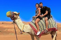 Dubai Desert Safari with Adventure Quad Bike and Buggy Ride