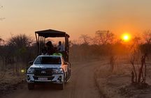 Off the Beaten Path: Unique Safaris in Zambezi National Park 
