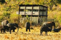 Off the Beaten Path: Unique Safaris in Zambezi National Park 