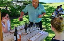 All-inclusive Private Wine Tour in Stellenbosch Cape Winelands