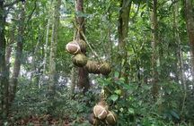 Bali Private Mystic Death Tour In Trunyan