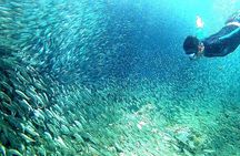  Moalboal Snorkeling, Kawasan Canyoneering with Zipline and Lunch