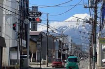 Mt. FUji and Cherry Blossom Day Trip with English Speaking Driver