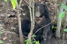Chitwan Jungle Safari-All inclusive 3 Days Chitwan Tour