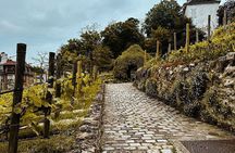  Walking Tour in Montmartre with a guide