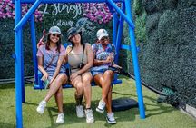 Shared Sightseeing Tour in Bahamas