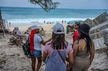 Shared Sightseeing Tour in Bahamas