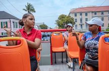 Shared Sightseeing Tour in Bahamas