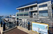 Robben Island Experience: Pre-Booked Ticket & Return Transfers