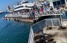 Robben Island Experience: Pre-Booked Ticket & Return Transfers