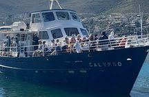  Table Mountain, cape peninsula& Penguins Colony Small Group Tour
