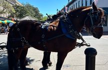 Horse Drawn Daytime Group Narrated Historic Overview Tour