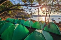 Bioluminescence Tour, Speedboat, Camping From Puntarenas
