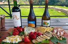 Private Tour at Maturana Wines and VIK winery with Lunch