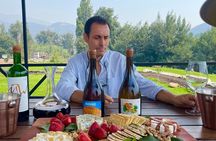Private Tour at Maturana Wines and VIK winery with Lunch