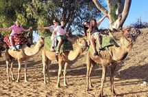 Camel Ride in Agadir at Sunset and Barbecue with Couscous