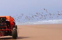 Fun buggies in Agadir Forest and Beach Dunes