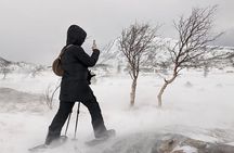 Snowshoeing - Winter Day Trip in Bodø, Northern Norway