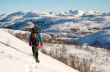 Snowshoeing - Winter Day Trip in Bodø, Northern Norway